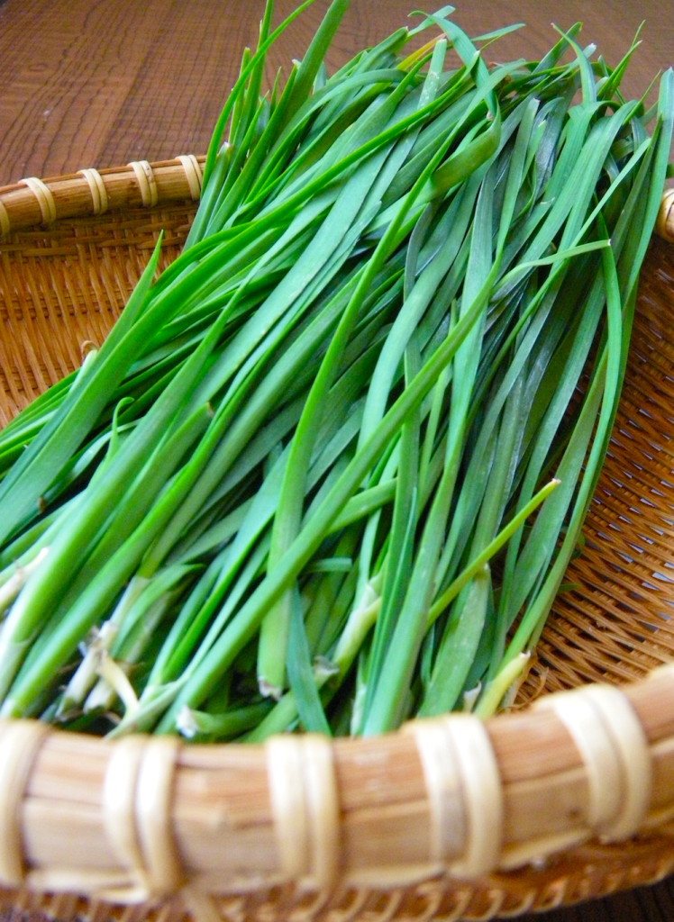 888c1b8407c8d94224ef8ac38e513905_m