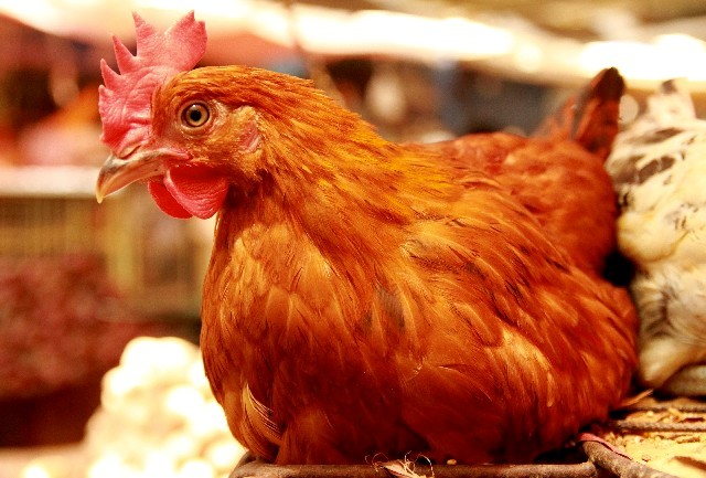 08.07ブログ画像1