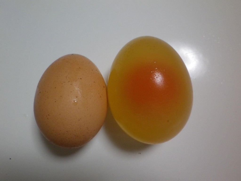 08.16ブログ画像1