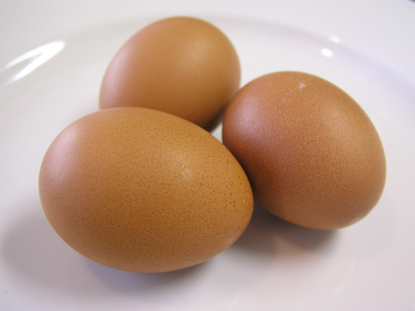 09.02ブログ画像2