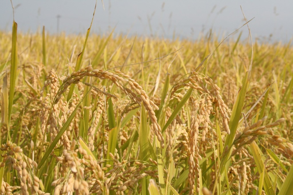 09-20%e3%83%96%e3%83%ad%e3%82%b0%e7%94%bb%e5%83%8f1