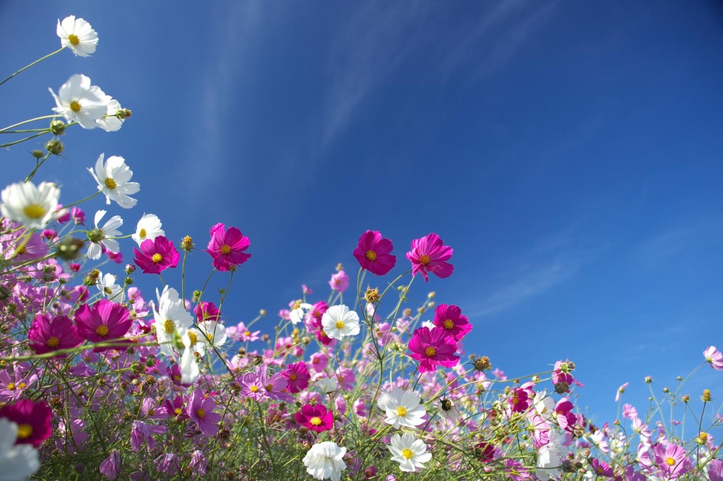 10-07%e3%83%96%e3%83%ad%e3%82%b0%e7%94%bb%e5%83%8f1