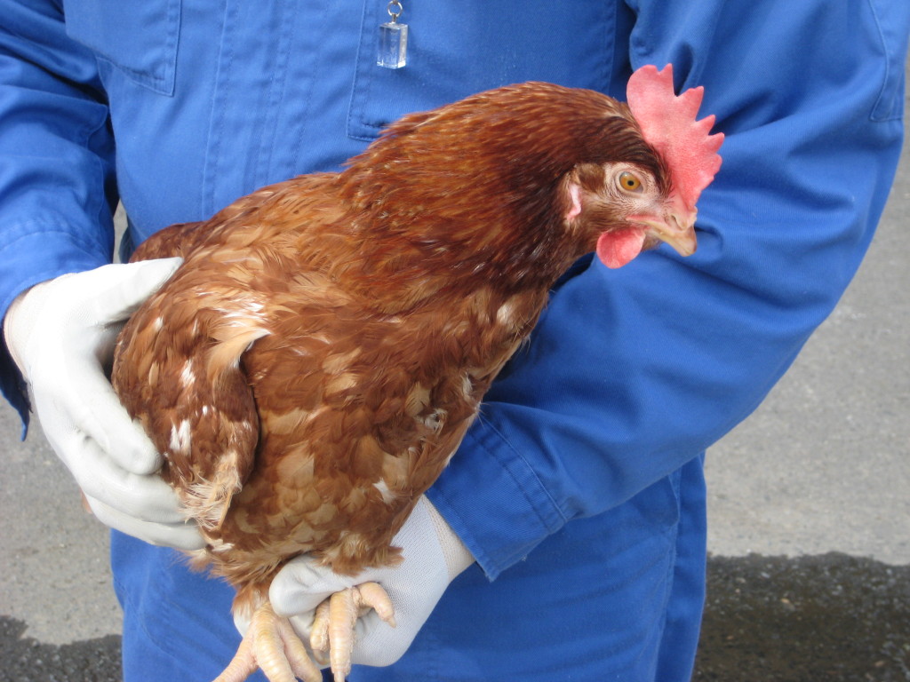 10-18%e3%83%96%e3%83%ad%e3%82%b0%e7%94%bb%e5%83%8f2