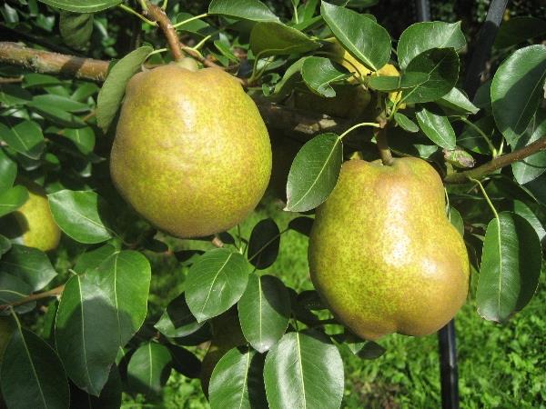 11-13%e3%83%96%e3%83%ad%e3%82%b0%e7%94%bb%e5%83%8f1