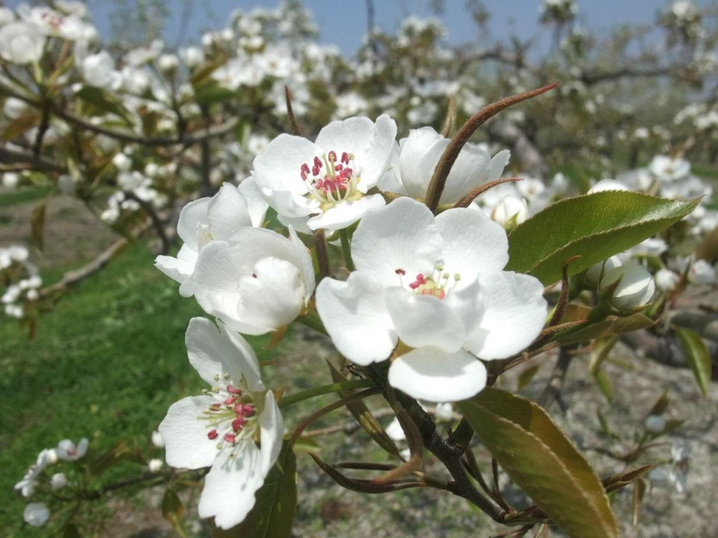 11-13%e3%83%96%e3%83%ad%e3%82%b0%e7%94%bb%e5%83%8f2