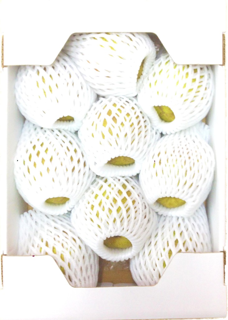 11-13%e3%83%96%e3%83%ad%e3%82%b0%e7%94%bb%e5%83%8f4