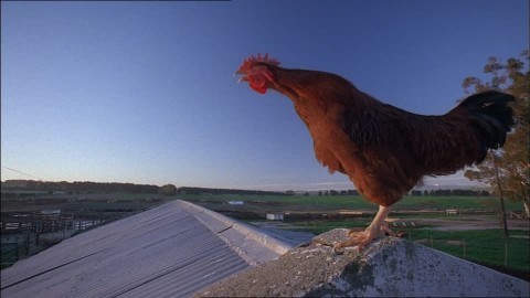 12-28%e3%83%96%e3%83%ad%e3%82%b0%e7%94%bb%e5%83%8f3