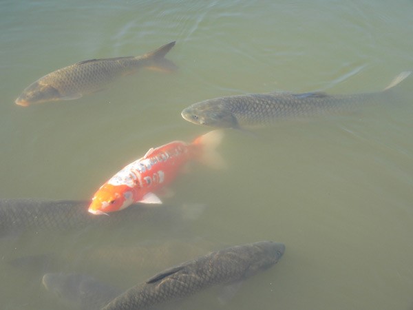 01-06%e3%83%96%e3%83%ad%e3%82%b0%e7%94%bb%e5%83%8f4