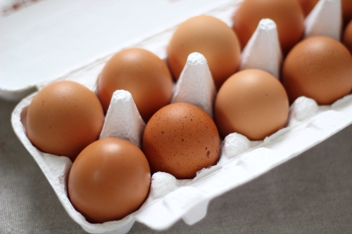 01.24ブログ画像1