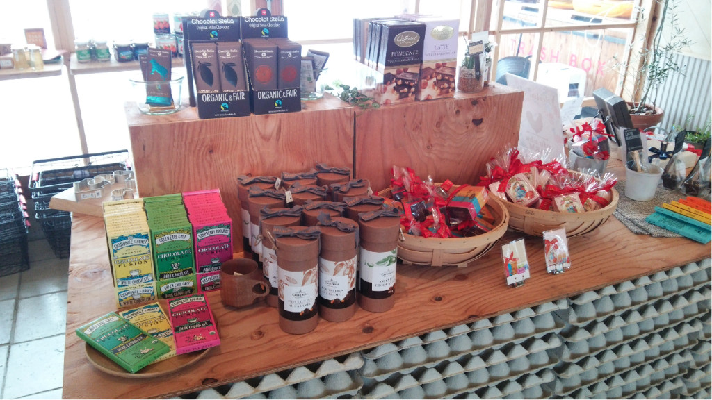 DSC_0018 (002)-01-01