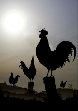 02.03ブログ画像4