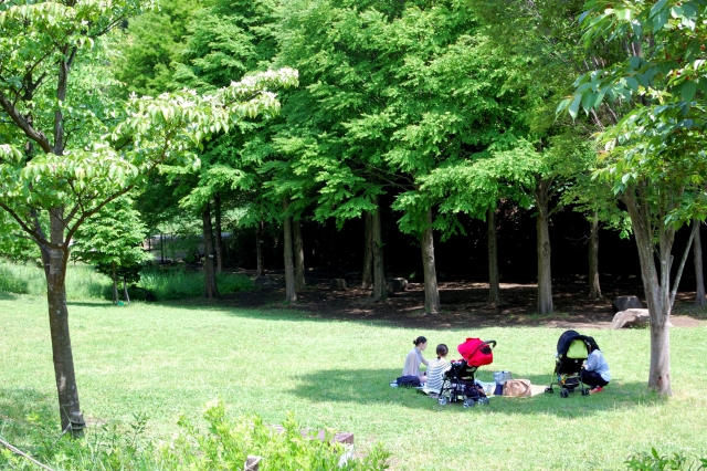 11224ea6dcb375cb7a5a5bfcffbcfb7b_s