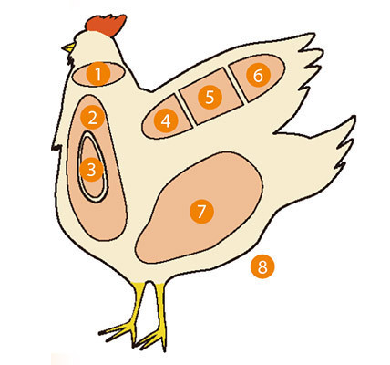 img_f57f61d5f95ef5660d008d30