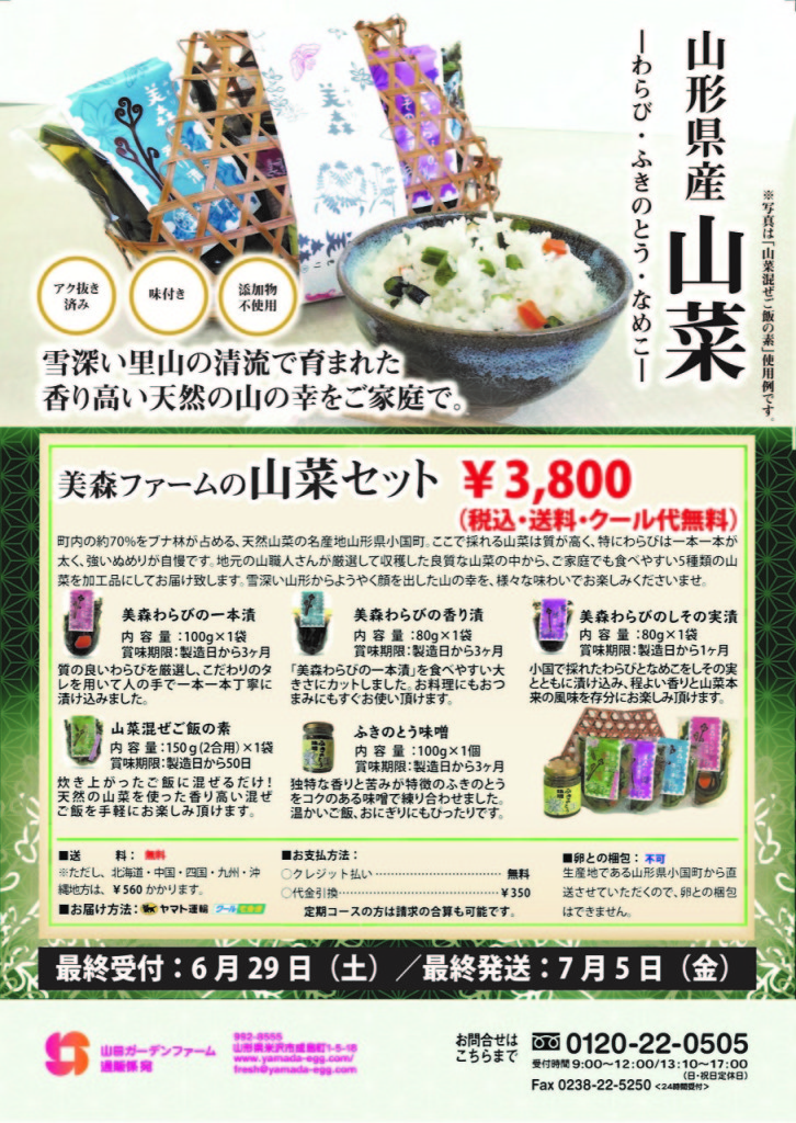 2019山菜セット2-01