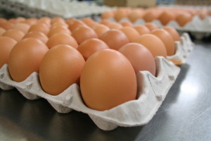 安心・安全！卵の賞味期限！