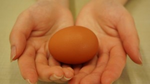 美味しい卵の秘密は鶏たちの管理を徹底しているからです