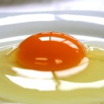 夏の時期に卵を常温で保管しておくのは大丈夫？