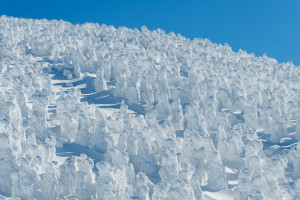 冬は山形で樹氷を楽しみませんか？