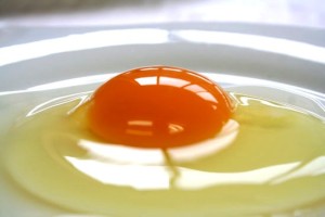 卵は物忘れ解消にもつながる！脳の活性化に効果的なレシピをご紹介します