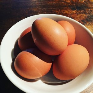 たまご知識～日本人の約9割が卵好き！日本の鶏卵事情～