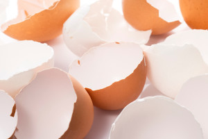 大掃除にピッタリの卵の殻の活用術