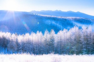 乳製品で健康に！