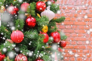 特別な日こそ卵料理!クリスマスメニューに紅花たまごを