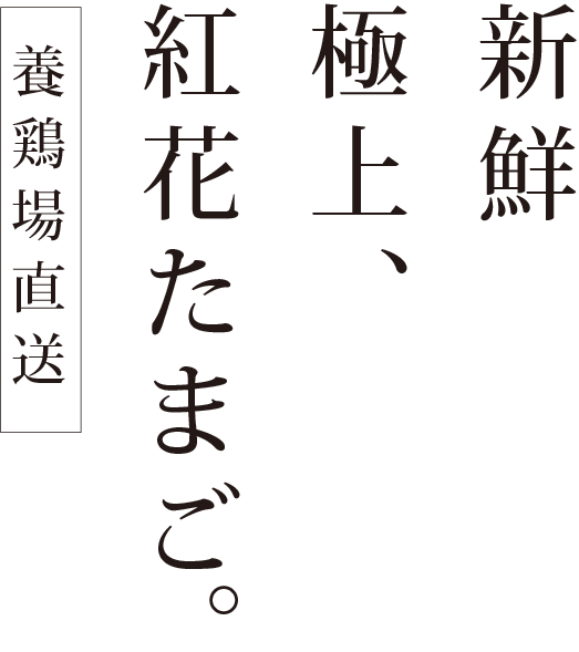 新鮮 極上、紅花たまご。養鶏場直送