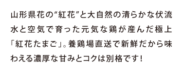 山形県花の“紅花”と大自然の清らかな伏流水と空気で育った元気な鶏が産んだ極上「紅花たまご」。養鶏場直送で新鮮だから味わえる濃厚な甘みとコクは別格です！