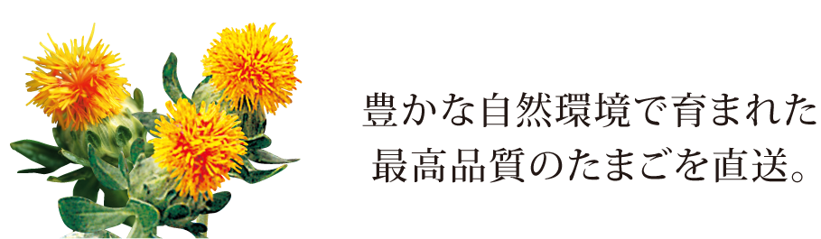 豊かな自然環境で育まれた、最高品質のたまごを直送。
