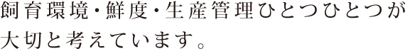 飼育環境・鮮度・生産管理ひとつひとつが大切と考えています。