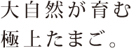 大自然が育む極上たまご。