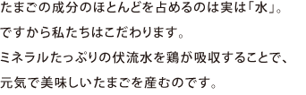 たまごの成分のほとんどを占めるのは実は水。ですから私たちはこだわります。ミネラルたっぷりの伏流水を鶏が吸収することで、元気で美味しいたまごを産むのです。
