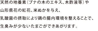 天然の地養素（ブナの木のエキス、木酢液等）や山形県花の紅花、米ぬかを与え、乳酸菌の摂取により鶏の腸内環境を整えることで、生臭みが少ないたまごができあがります。