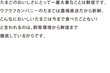 たまごのおいしさにとって一番大事なことは鮮度です。ウフウフカンパニーのたまごは農場直送だから新鮮。こんなにおいしいたまごは今まで食べたことない！と言われるのは、飼育環境から鮮度まで徹底しているからです。